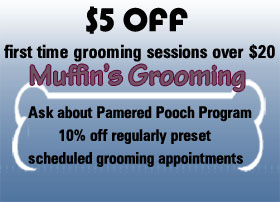 dog grooming coupon